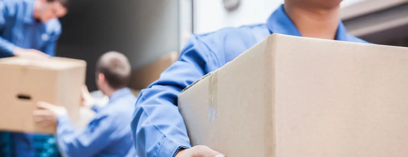 Commercial Shark movers.